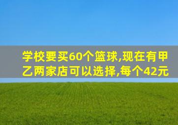 学校要买60个篮球,现在有甲乙两家店可以选择,每个42元