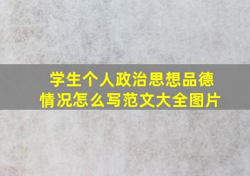 学生个人政治思想品德情况怎么写范文大全图片