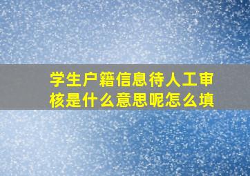 学生户籍信息待人工审核是什么意思呢怎么填