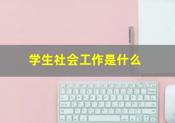 学生社会工作是什么