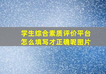 学生综合素质评价平台怎么填写才正确呢图片