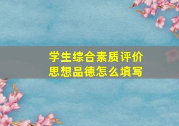 学生综合素质评价思想品德怎么填写