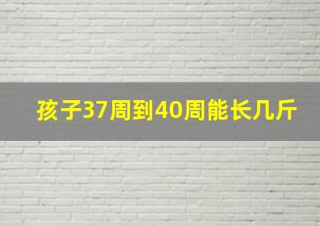 孩子37周到40周能长几斤