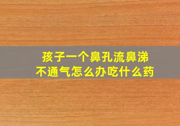 孩子一个鼻孔流鼻涕不通气怎么办吃什么药