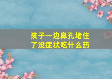 孩子一边鼻孔堵住了没症状吃什么药