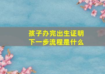 孩子办完出生证明下一步流程是什么