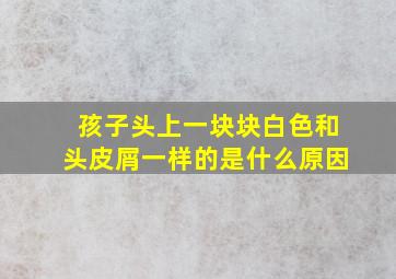 孩子头上一块块白色和头皮屑一样的是什么原因