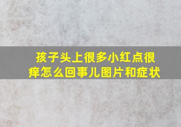 孩子头上很多小红点很痒怎么回事儿图片和症状