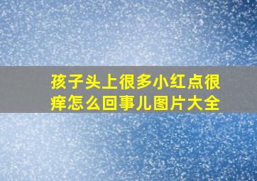 孩子头上很多小红点很痒怎么回事儿图片大全