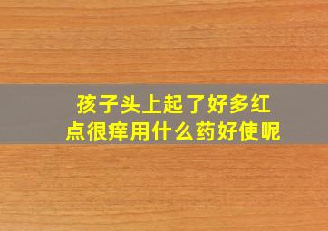 孩子头上起了好多红点很痒用什么药好使呢