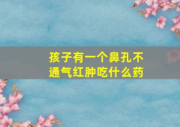 孩子有一个鼻孔不通气红肿吃什么药