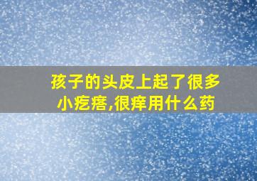 孩子的头皮上起了很多小疙瘩,很痒用什么药