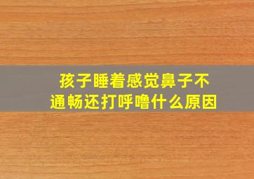 孩子睡着感觉鼻子不通畅还打呼噜什么原因