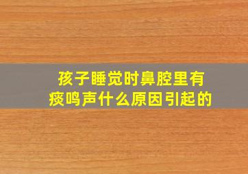 孩子睡觉时鼻腔里有痰鸣声什么原因引起的