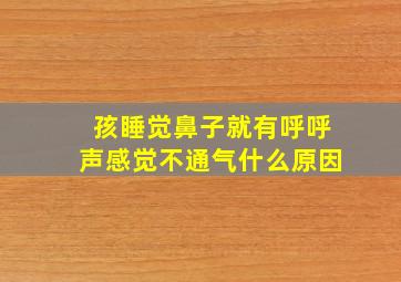 孩睡觉鼻子就有呼呼声感觉不通气什么原因