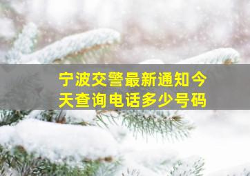 宁波交警最新通知今天查询电话多少号码