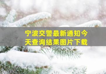 宁波交警最新通知今天查询结果图片下载