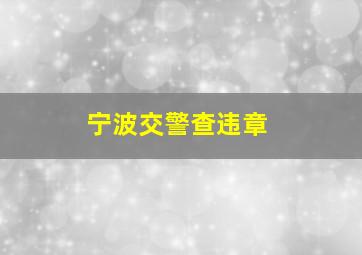 宁波交警查违章