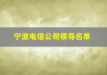 宁波电信公司领导名单