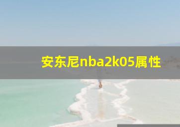 安东尼nba2k05属性