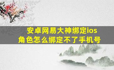 安卓网易大神绑定ios角色怎么绑定不了手机号