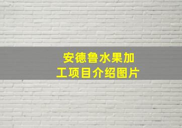 安德鲁水果加工项目介绍图片