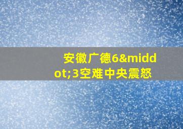 安徽广德6·3空难中央震怒