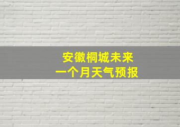 安徽桐城未来一个月天气预报