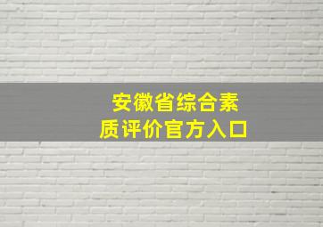 安徽省综合素质评价官方入口