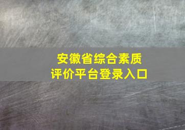 安徽省综合素质评价平台登录入口