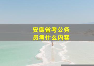 安徽省考公务员考什么内容