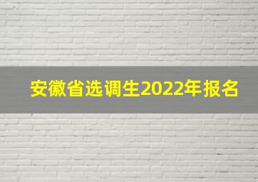 安徽省选调生2022年报名