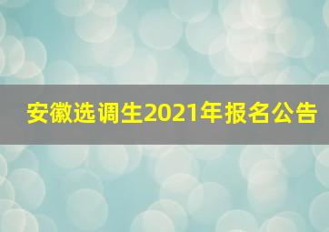 安徽选调生2021年报名公告