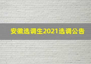 安徽选调生2021选调公告