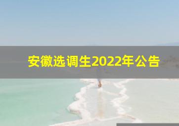 安徽选调生2022年公告