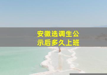 安徽选调生公示后多久上班