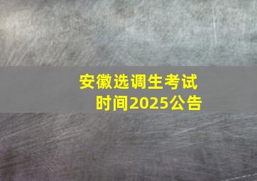 安徽选调生考试时间2025公告