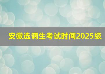 安徽选调生考试时间2025级