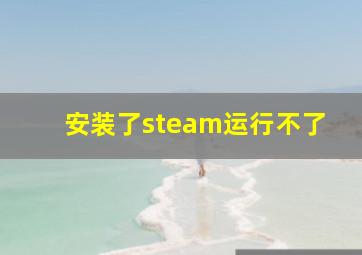 安装了steam运行不了