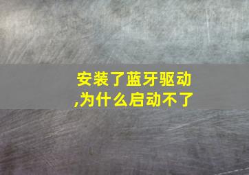 安装了蓝牙驱动,为什么启动不了