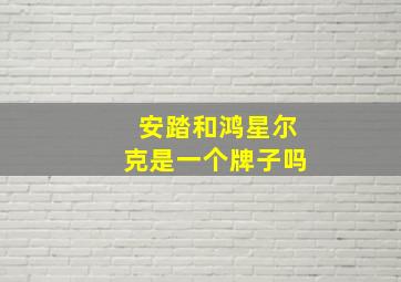 安踏和鸿星尔克是一个牌子吗