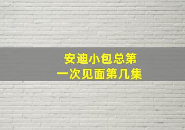 安迪小包总第一次见面第几集