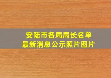 安陆市各局局长名单最新消息公示照片图片