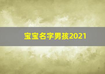 宝宝名字男孩2021