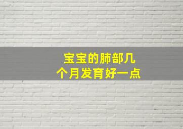 宝宝的肺部几个月发育好一点