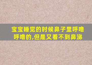 宝宝睡觉的时候鼻子里呼噜呼噜的,但是又看不到鼻涕