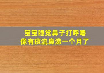 宝宝睡觉鼻子打呼噜像有痰流鼻涕一个月了