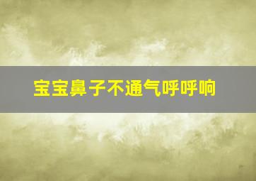 宝宝鼻子不通气呼呼响