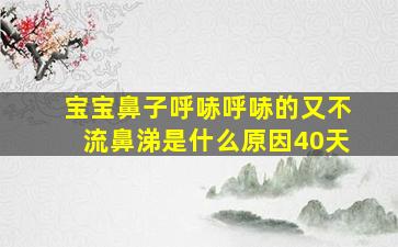 宝宝鼻子呼哧呼哧的又不流鼻涕是什么原因40天