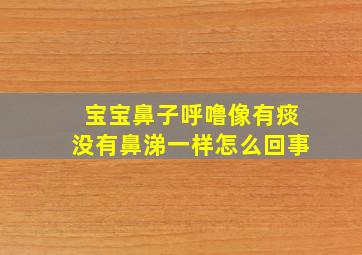 宝宝鼻子呼噜像有痰没有鼻涕一样怎么回事